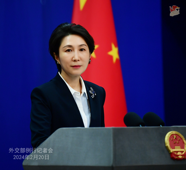 毛宁1.jpg