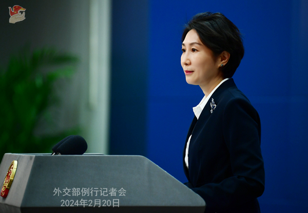 毛宁3.jpg